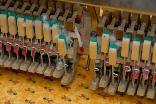 Mechaniekschade door muizen