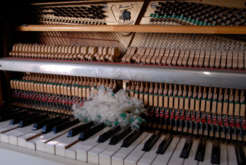 muizennest in piano